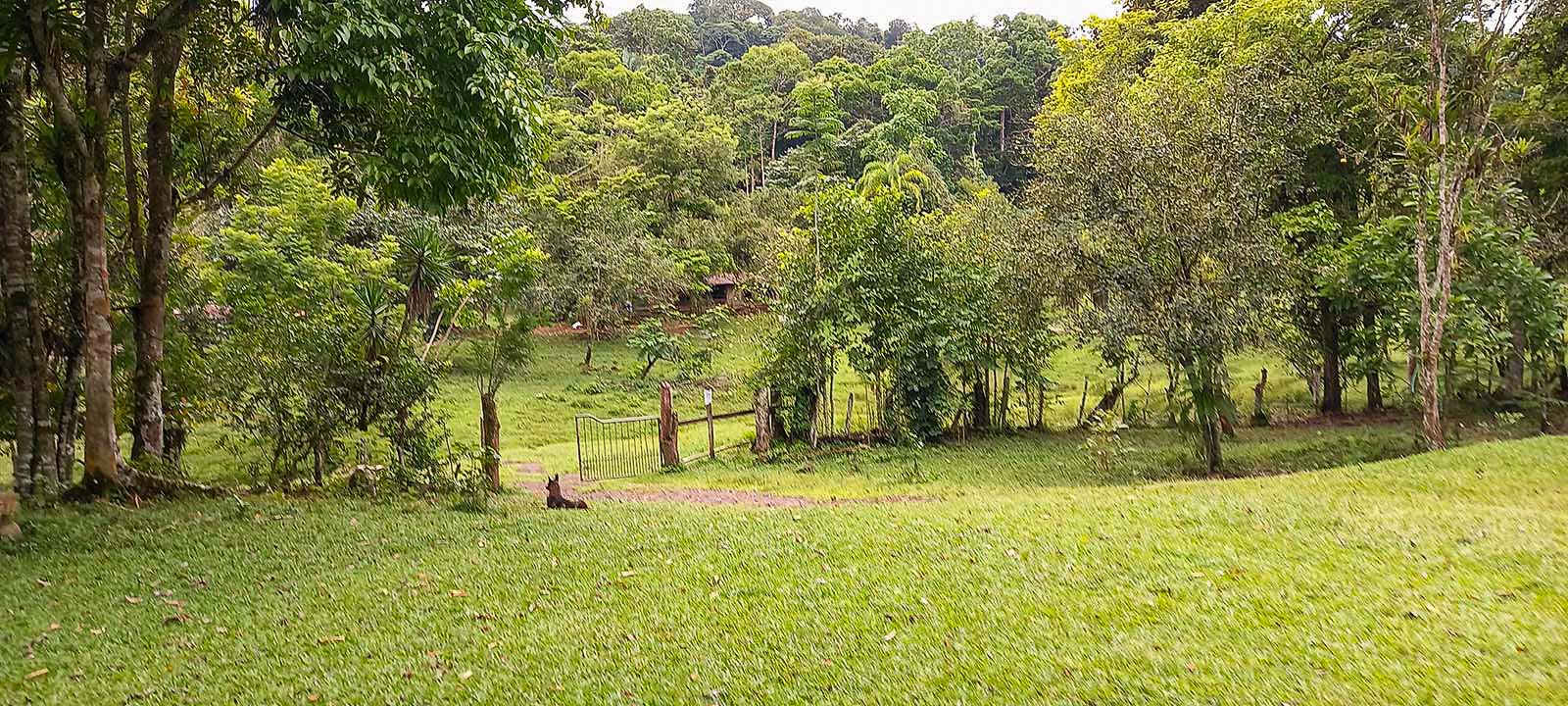 0 bed Land For Sale in Dominical, Puntarenas - thumb 6