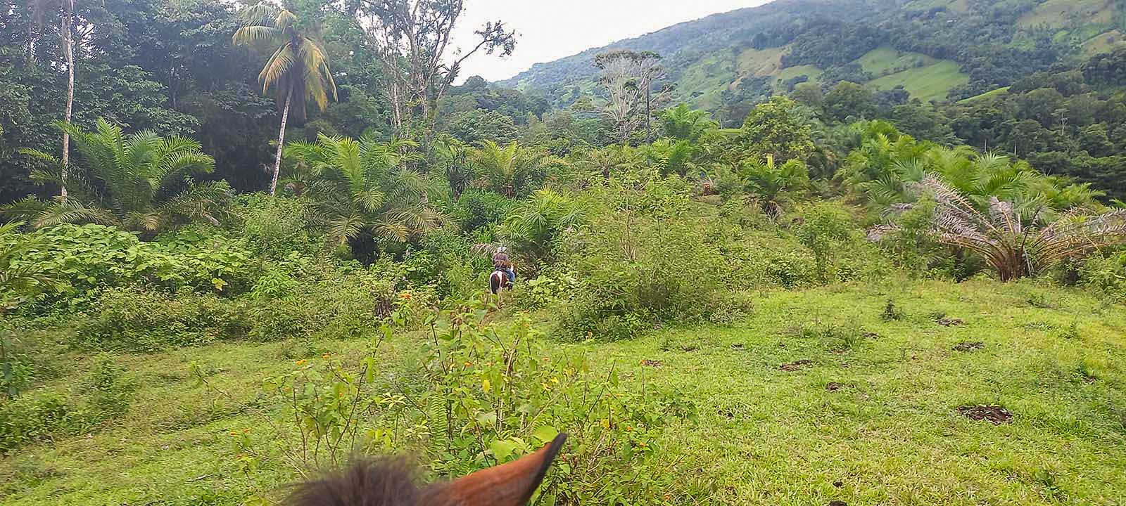 0 bed Land For Sale in Dominical, Puntarenas - thumb 15