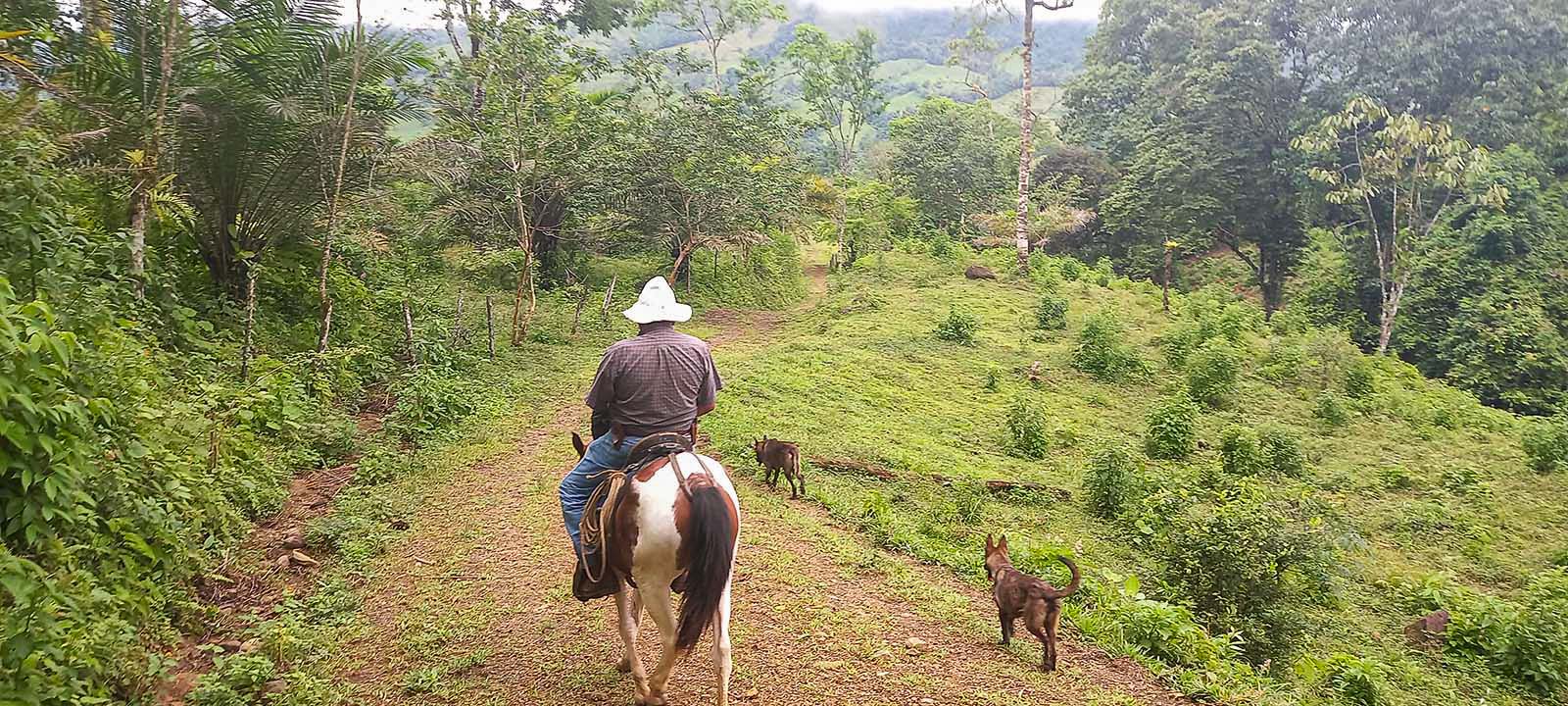 0 bed Land For Sale in Dominical, Puntarenas - thumb 14