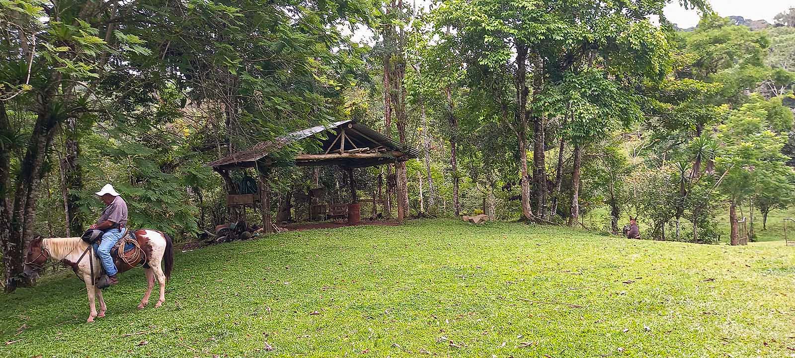 0 bed Land For Sale in Dominical, Puntarenas - thumb 8