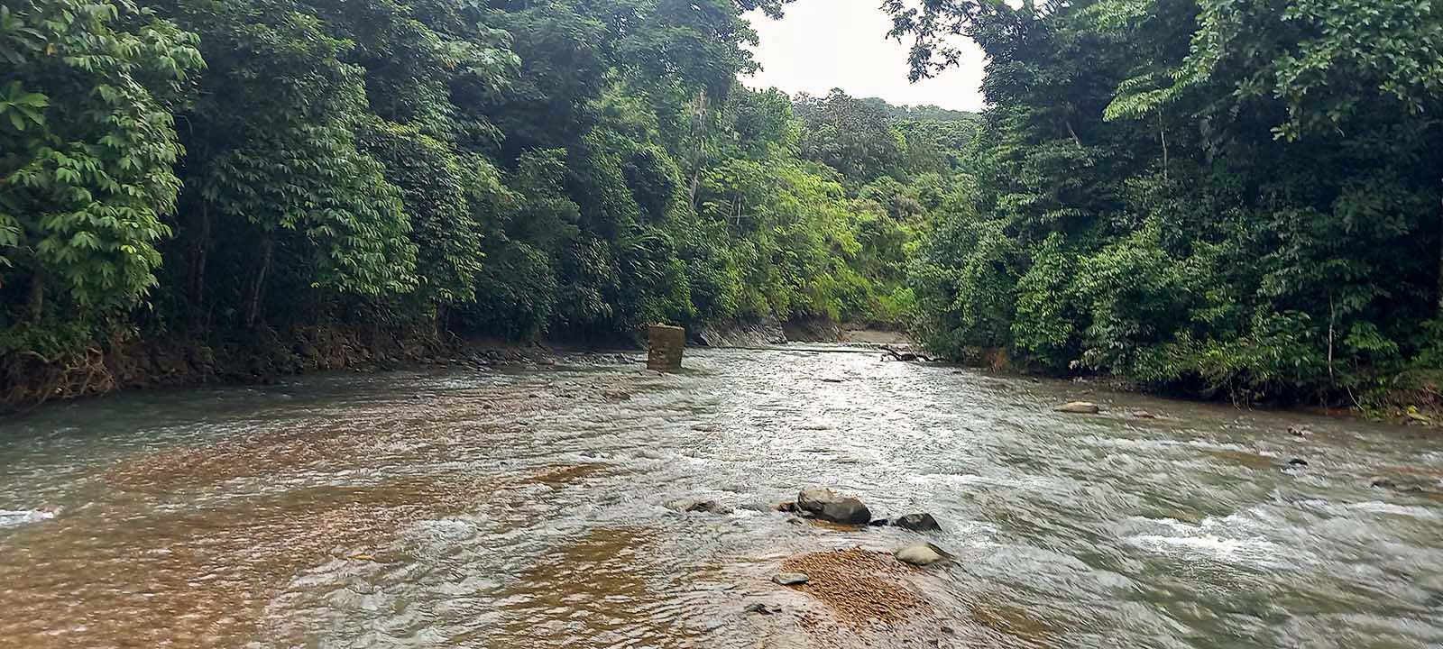 0 bed Land For Sale in Dominical, Puntarenas - thumb 19