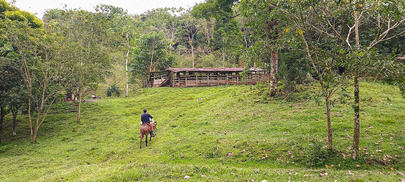 0 bed Land For Sale in Dominical, Puntarenas - thumb 1