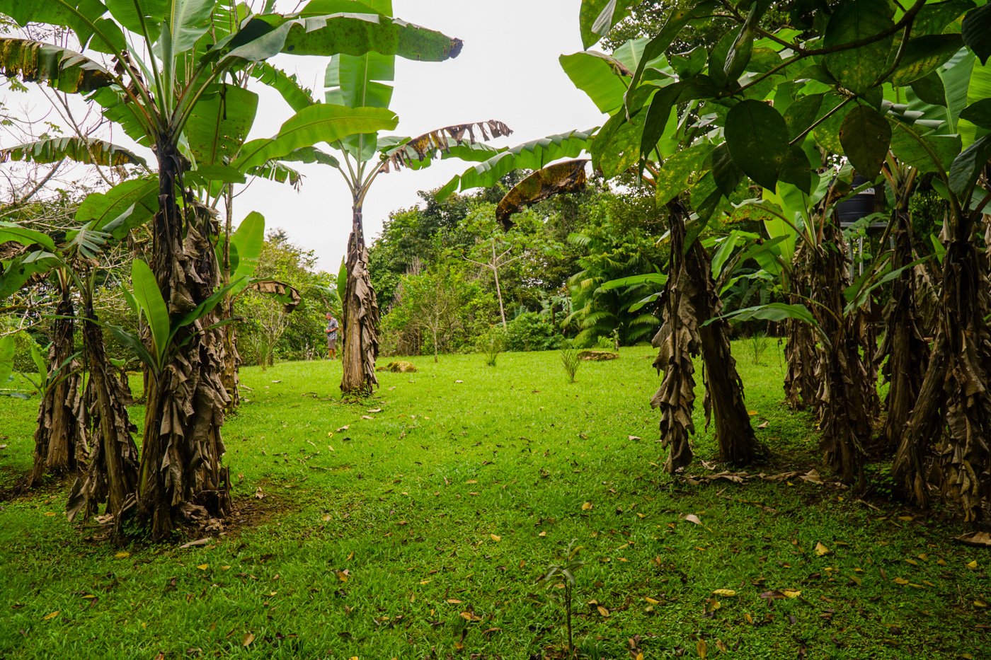 1 bed Single Family Homes For Sale in Tinamastes, San Jose - thumb 16