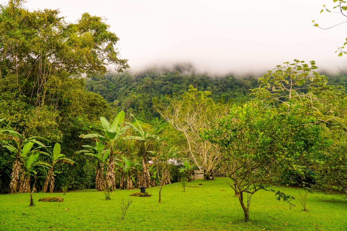 1 bed Single Family Homes For Sale in Tinamastes, San Jose - thumb 28