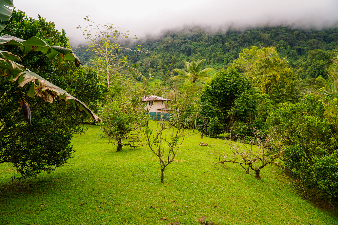 1 bed Single Family Homes For Sale in Tinamastes, San Jose - thumb 11