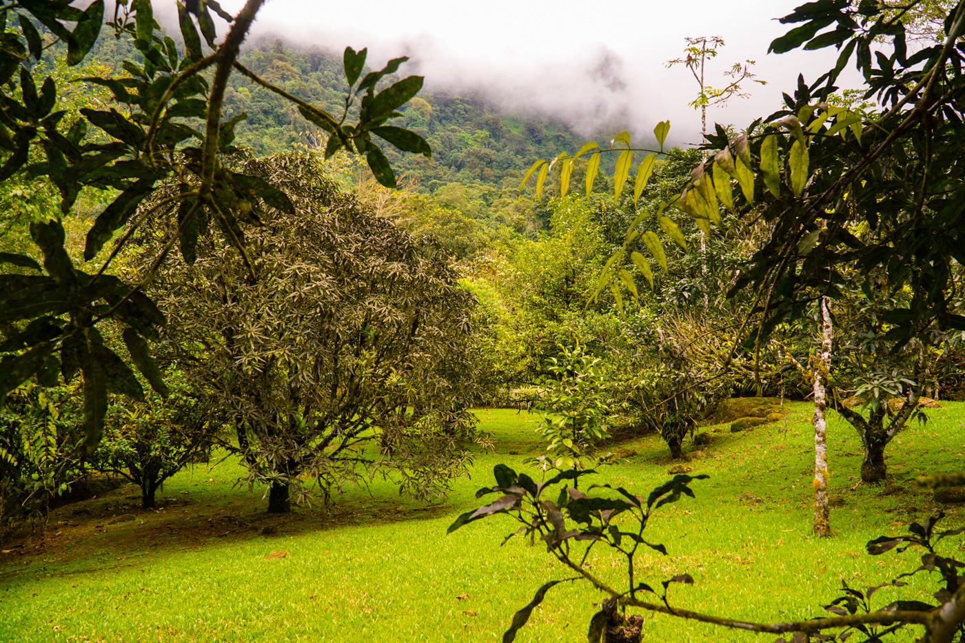 1 bed Single Family Homes For Sale in Tinamastes, San Jose - thumb 25