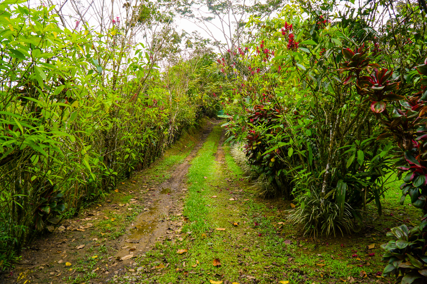 1 bed Single Family Homes For Sale in Tinamastes, San Jose - thumb 27