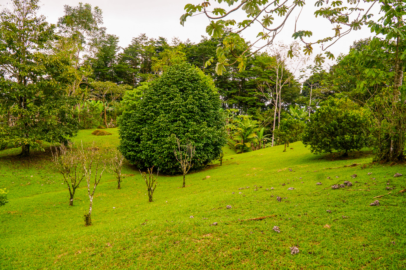 1 bed Single Family Homes For Sale in Tinamastes, San Jose - thumb 8