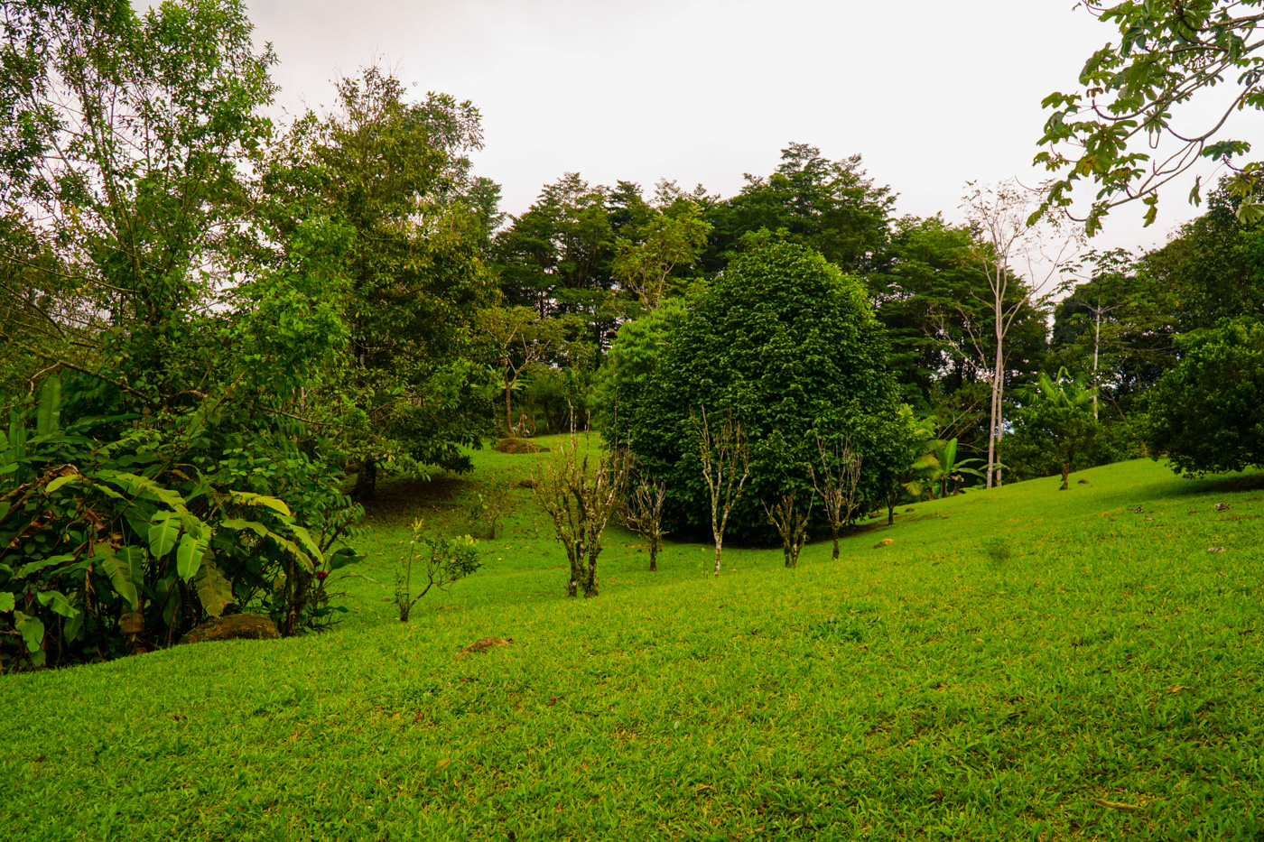 1 bed Single Family Homes For Sale in Tinamastes, San Jose - thumb 17