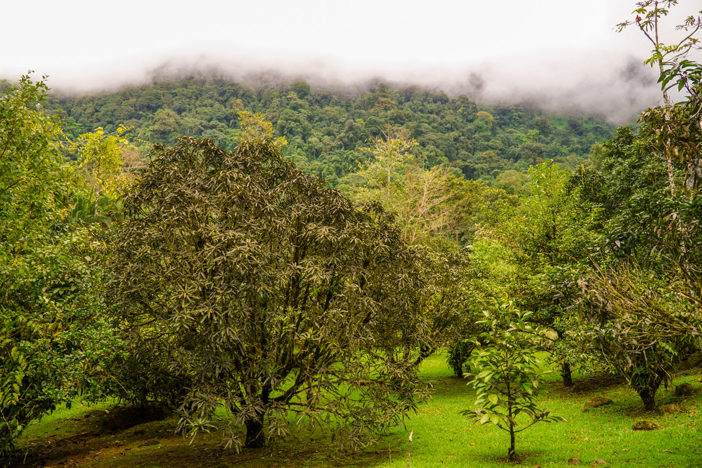 1 bed Single Family Homes For Sale in Tinamastes, San Jose - thumb 26