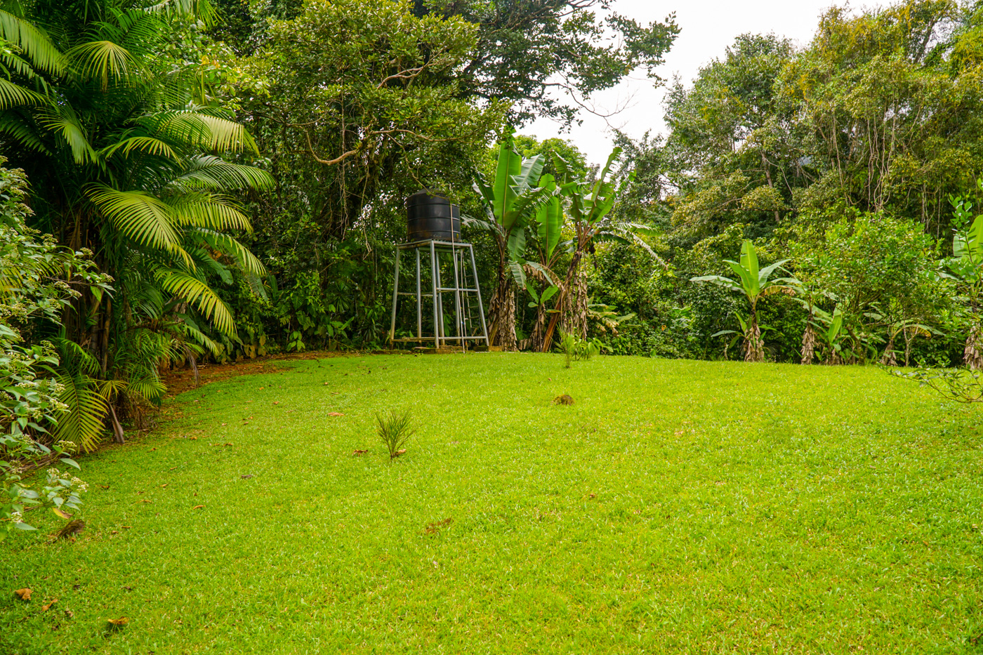 1 bed Single Family Homes For Sale in Tinamastes, San Jose - thumb 12