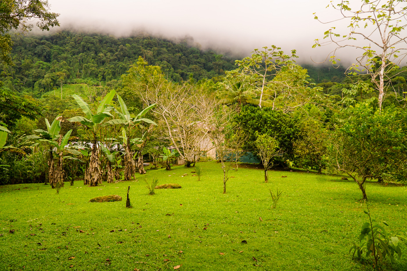 1 bed Single Family Homes For Sale in Tinamastes, San Jose - thumb 13