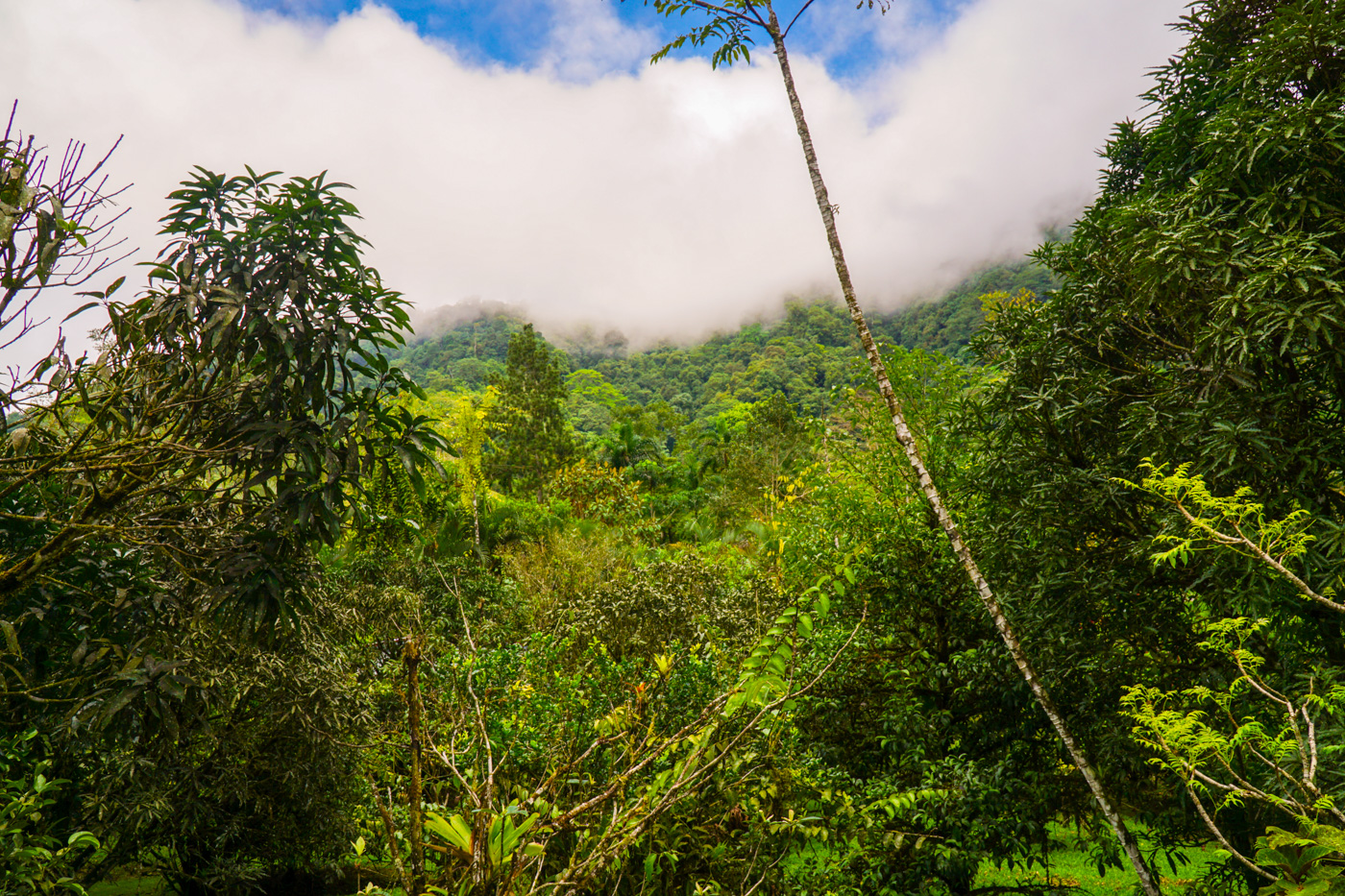 1 bed Single Family Homes For Sale in Tinamastes, San Jose - thumb 29