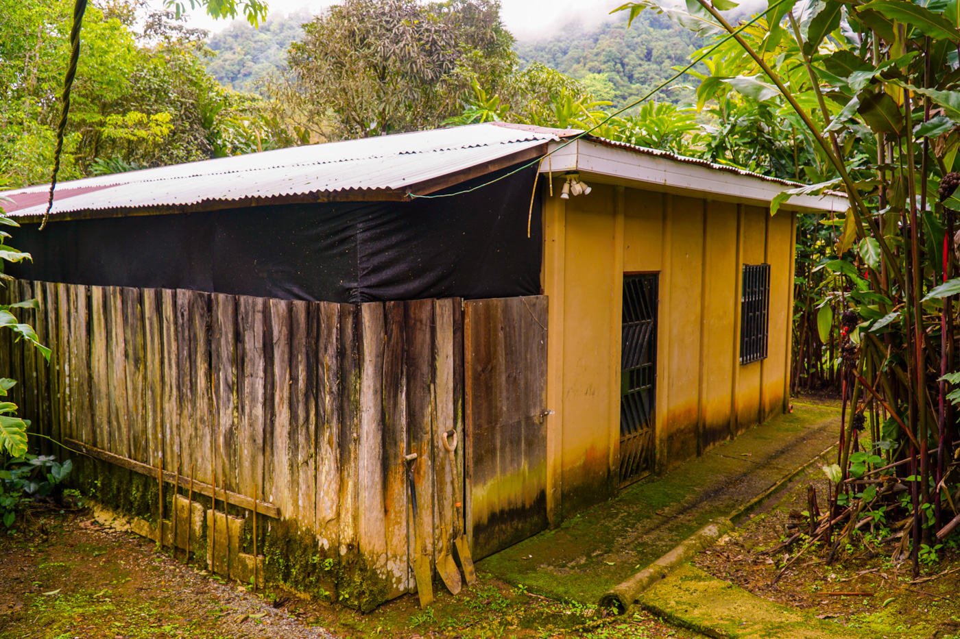 1 bed Single Family Homes For Sale in Tinamastes, San Jose - thumb 23