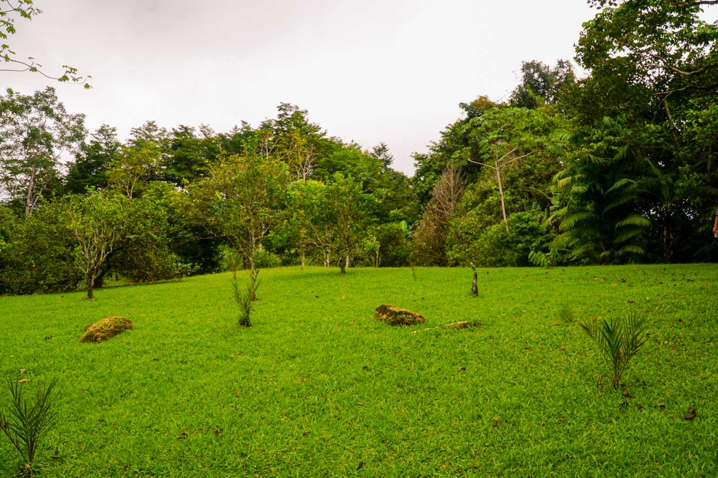 1 bed Single Family Homes For Sale in Tinamastes, San Jose - thumb 14