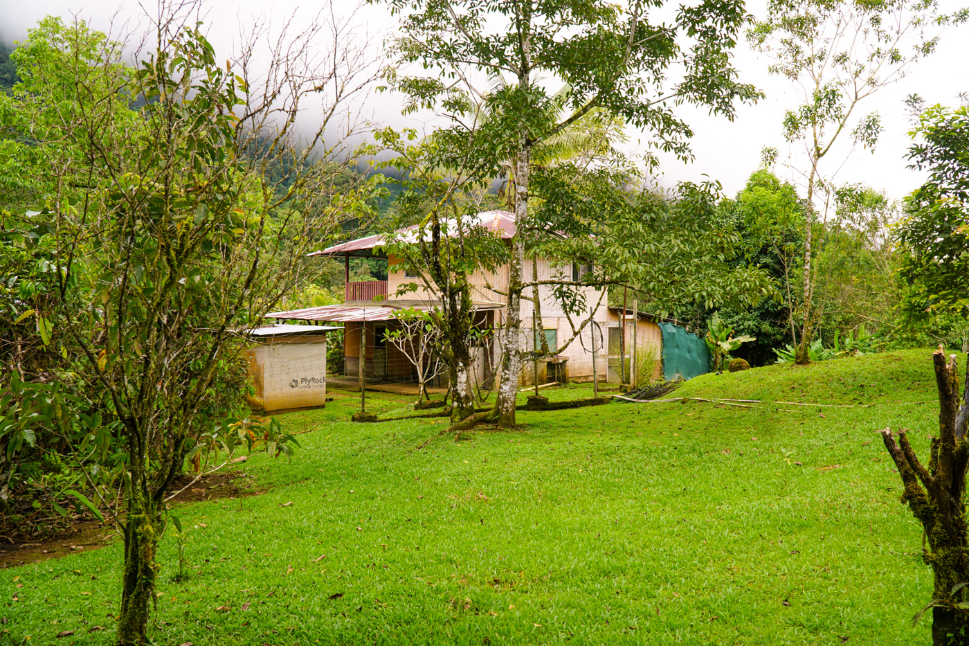 1 bed Single Family Homes For Sale in Tinamastes, San Jose - thumb 15