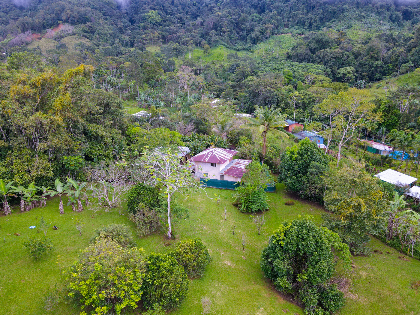 1 bed Single Family Homes For Sale in Tinamastes, San Jose - thumb 1