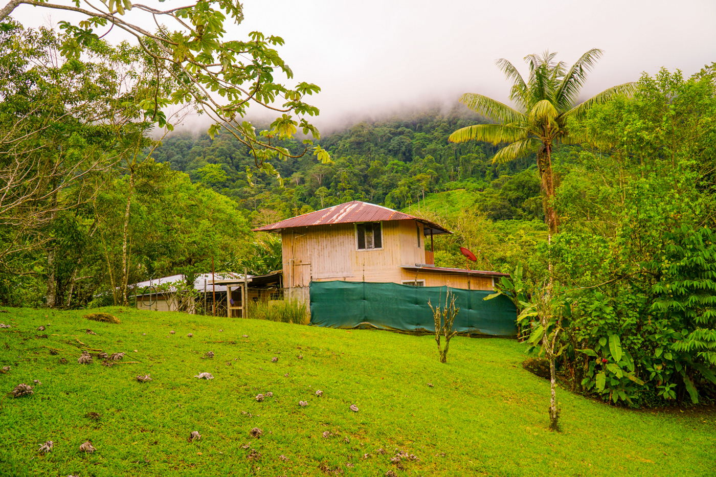 1 bed Single Family Homes For Sale in Tinamastes, San Jose - thumb 9