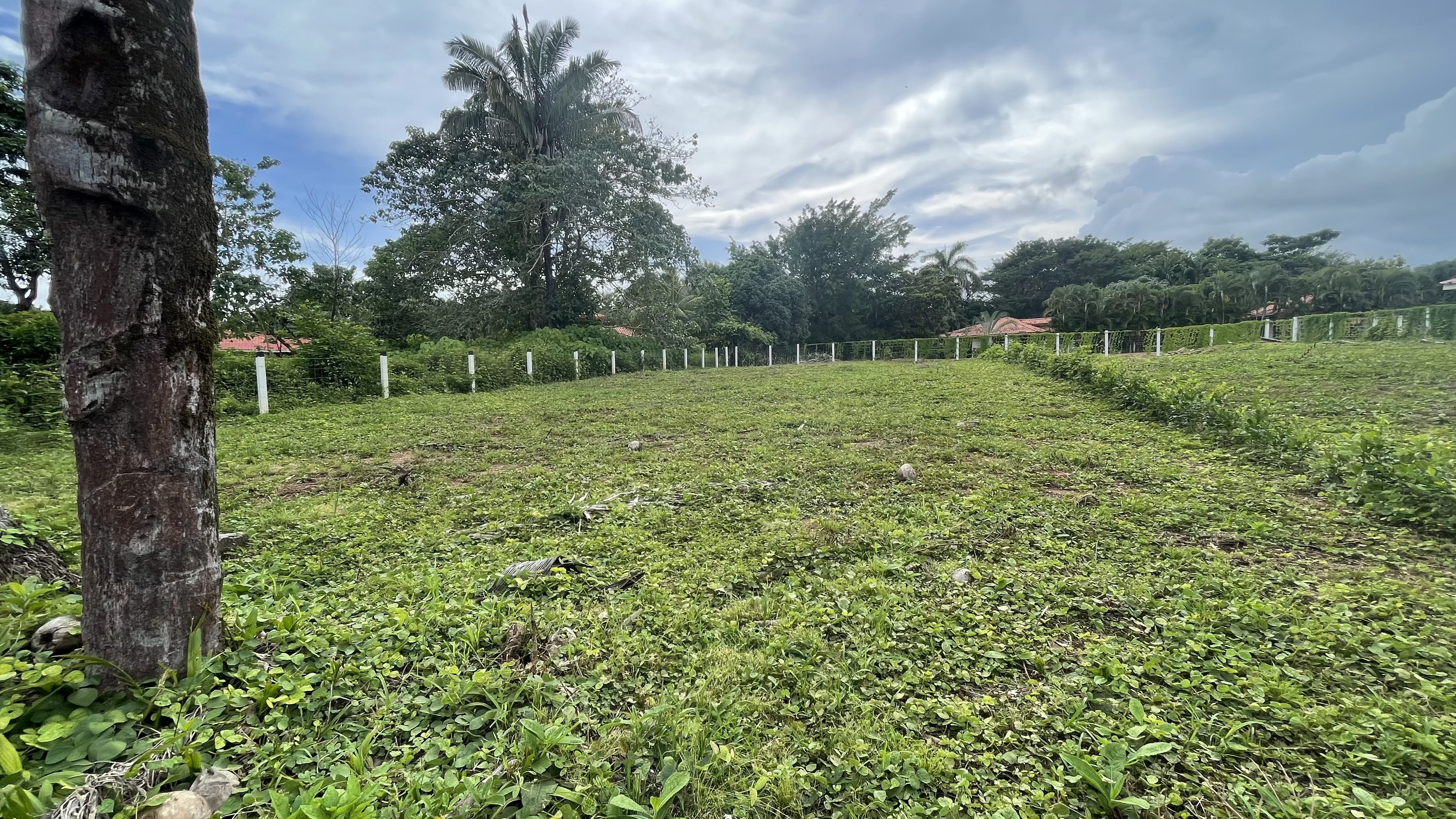 3 bed Single Family Homes For Sale in Tambor, Puntarenas - thumb 2