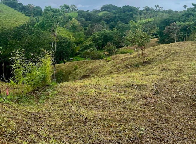 0 bed Land For Sale in San Isidro de El General, Puntarenas - thumb 3