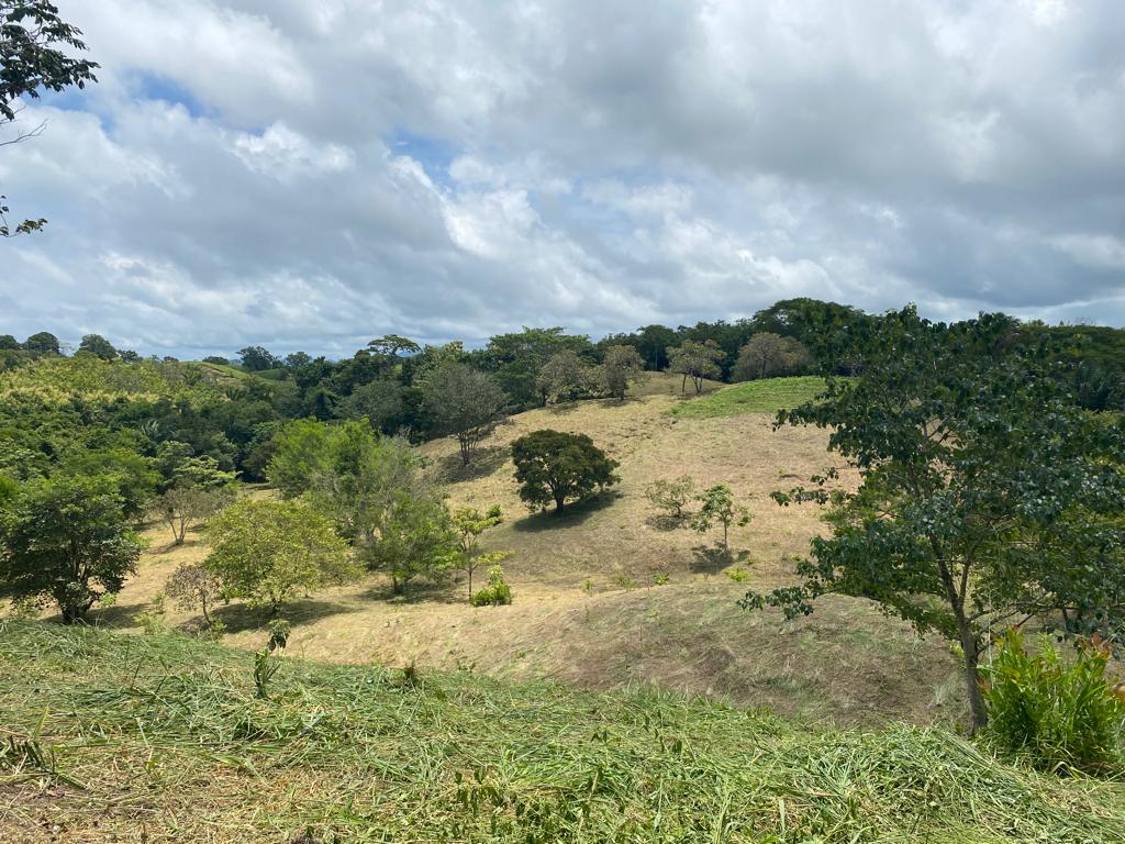 0 bed Land For Sale in San Isidro de El General, Puntarenas - thumb 8