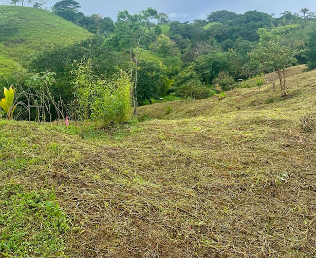 0 bed Land For Sale in San Isidro de El General, Puntarenas - thumb 4