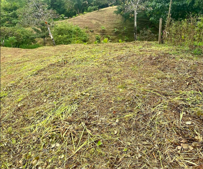 0 bed Land For Sale in San Isidro de El General, Puntarenas - thumb 2