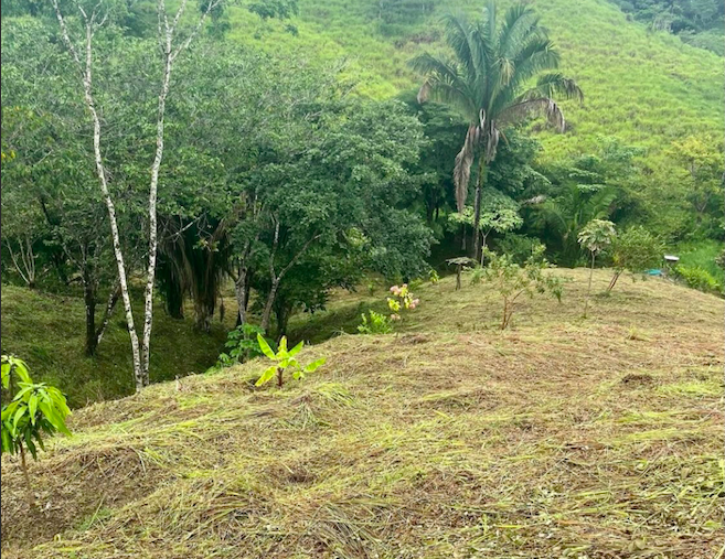 0 bed Land For Sale in San Isidro de El General, Puntarenas - thumb 6