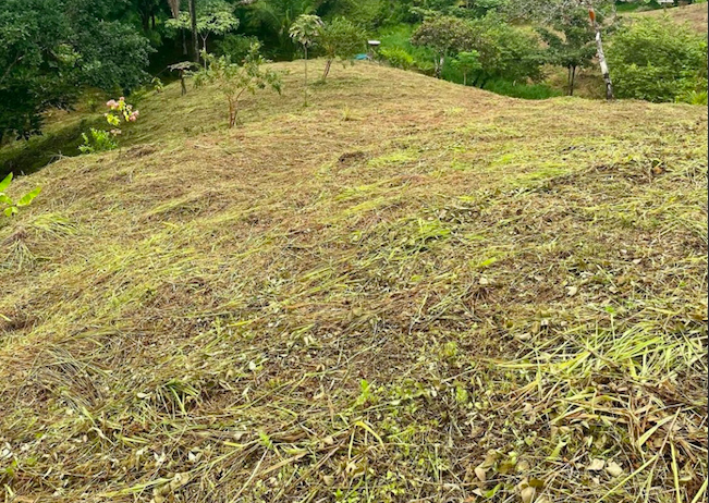 0 bed Land For Sale in San Isidro de El General, Puntarenas - thumb 1