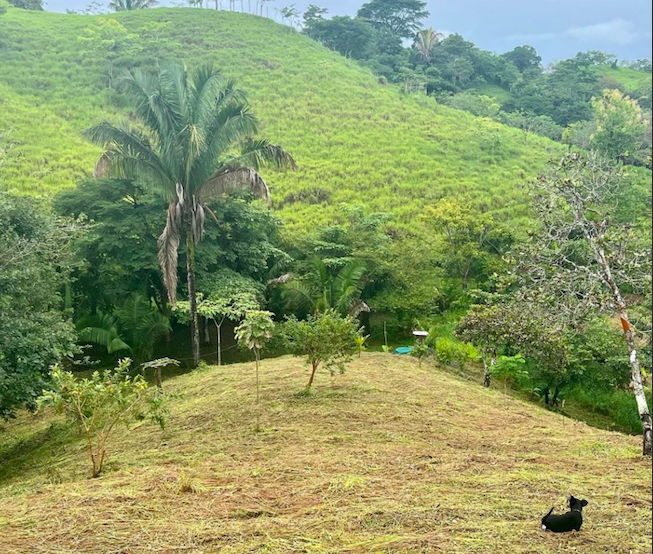 0 bed Land For Sale in San Isidro de El General, Puntarenas - thumb 7