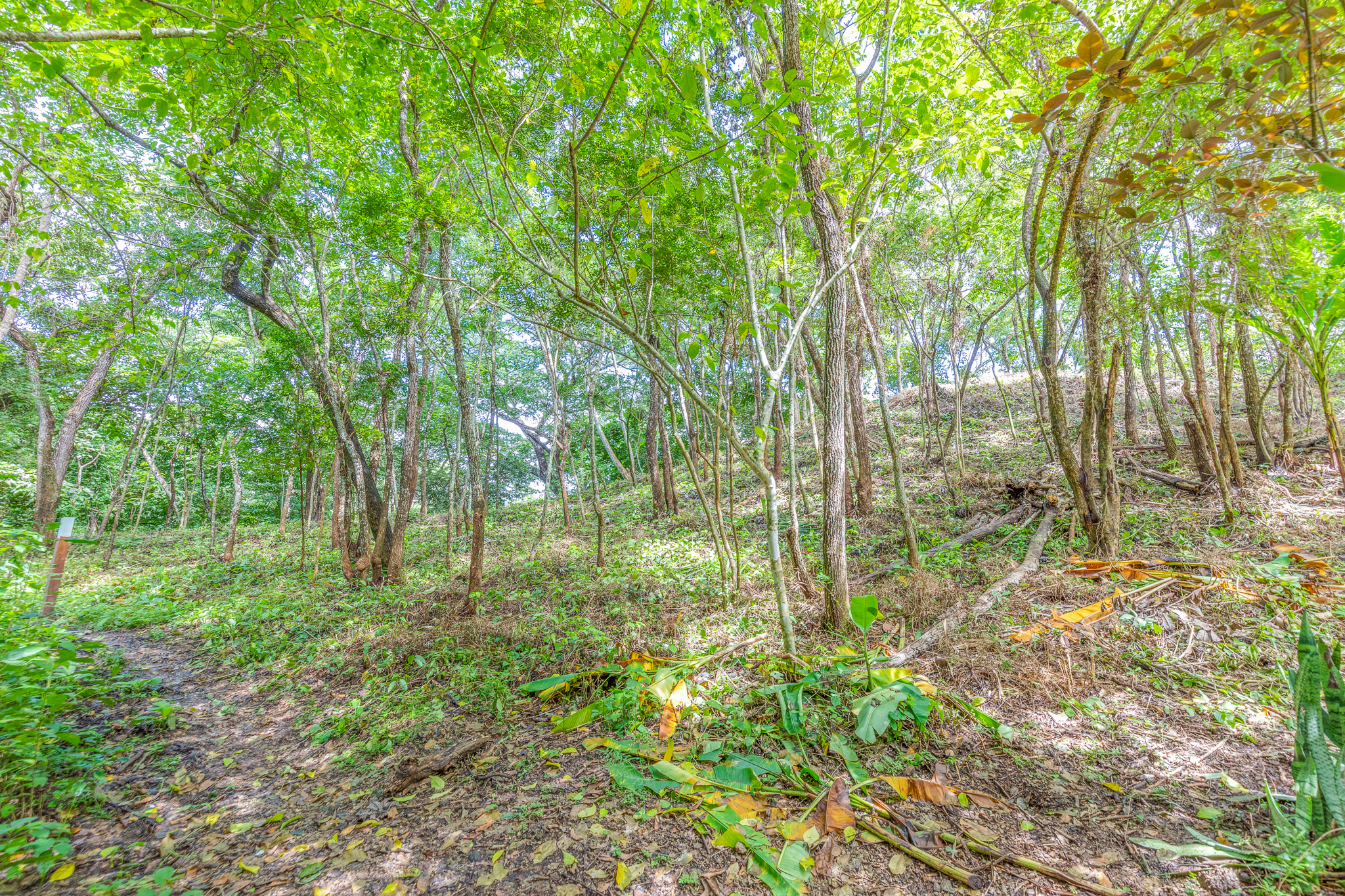 0 bed Land For Sale in Nosara, Guanacaste - thumb 2