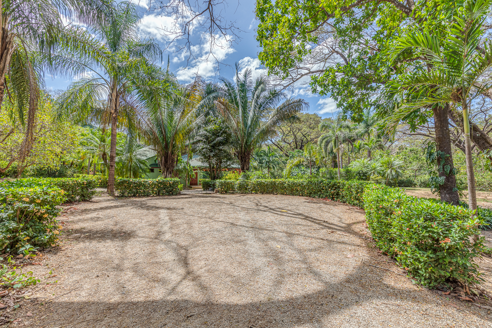 0 bed Land For Sale in Nosara, Guanacaste - thumb 5