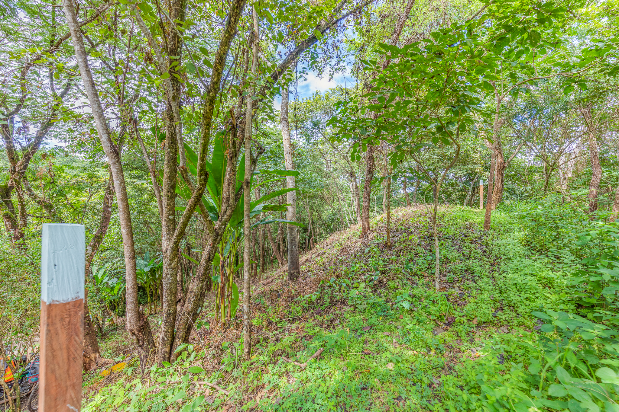 0 bed Land For Sale in Nosara, Guanacaste - thumb 1