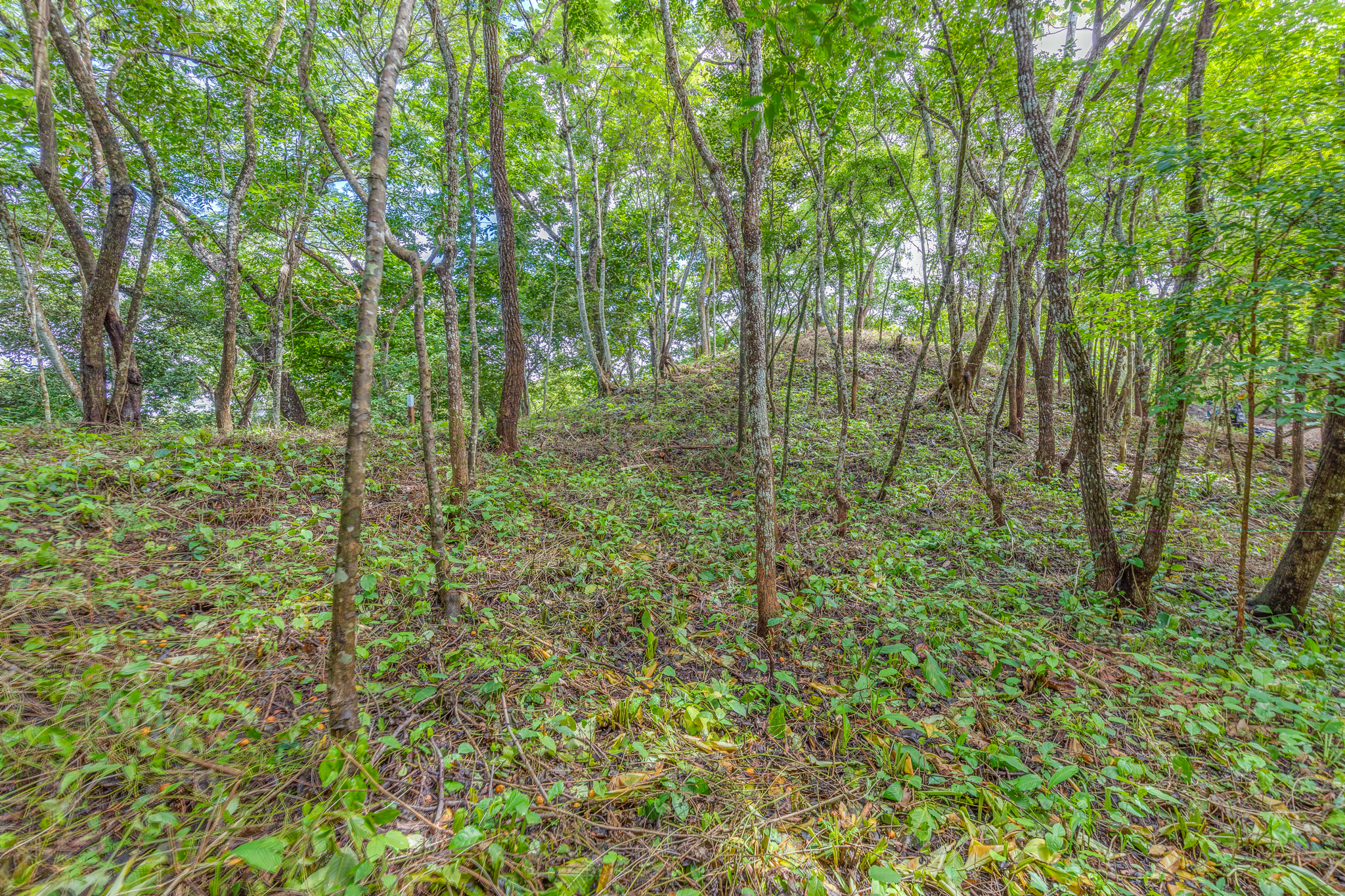 0 bed Land For Sale in Nosara, Guanacaste - thumb 4