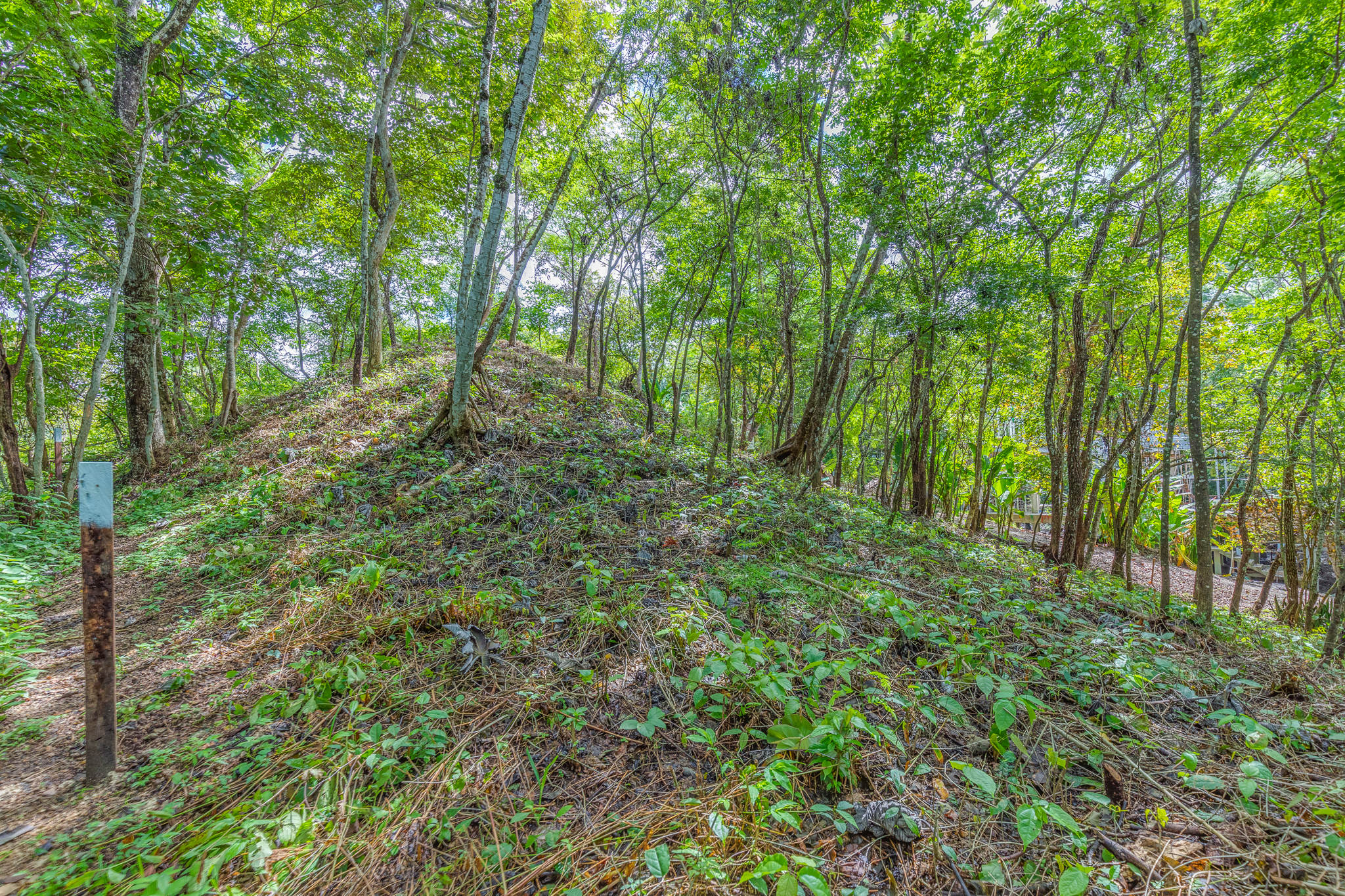 0 bed Land For Sale in Nosara, Guanacaste - thumb 3