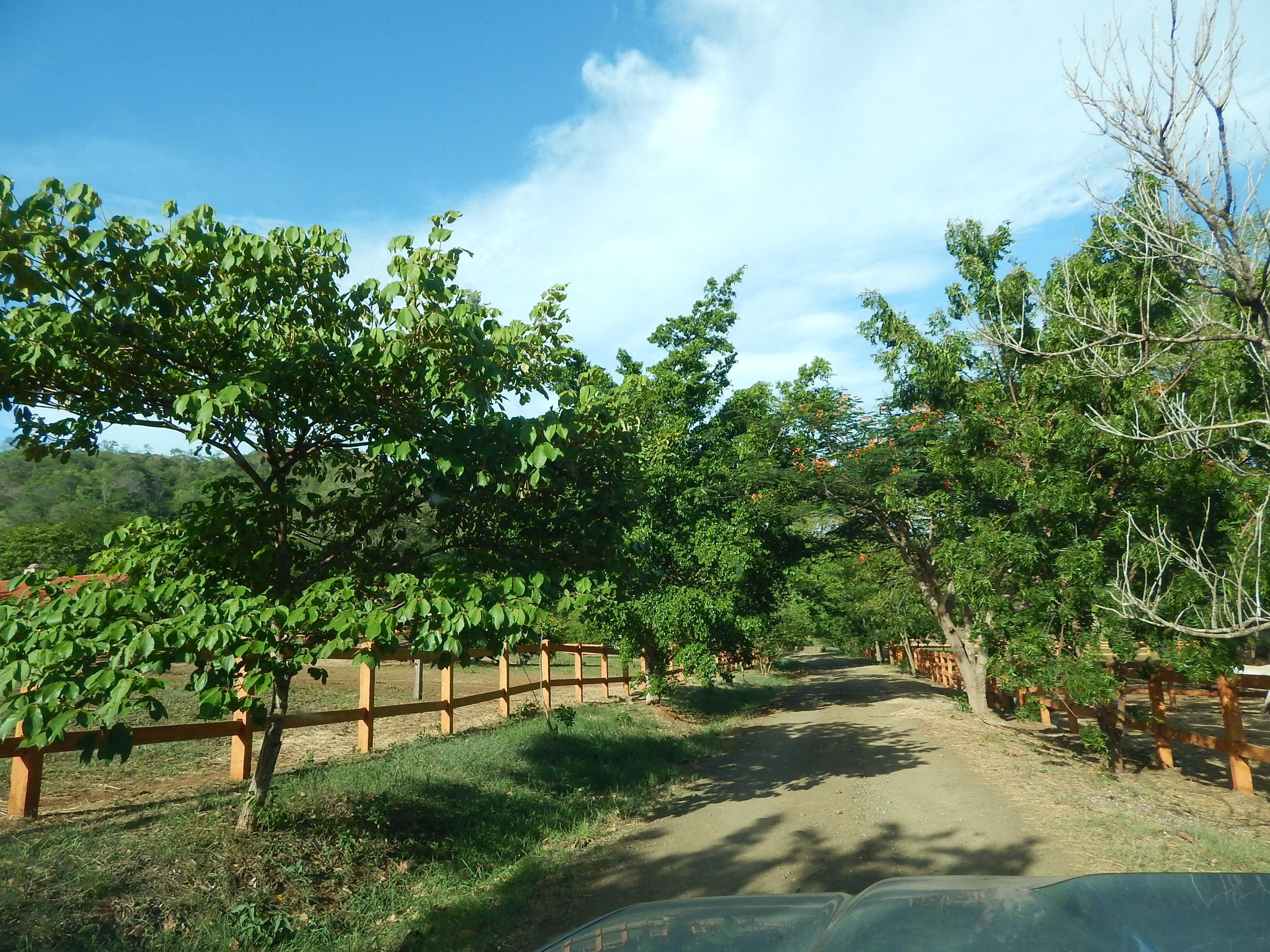 0 bed Land For Sale in Matapalo, Guanacaste - thumb 4