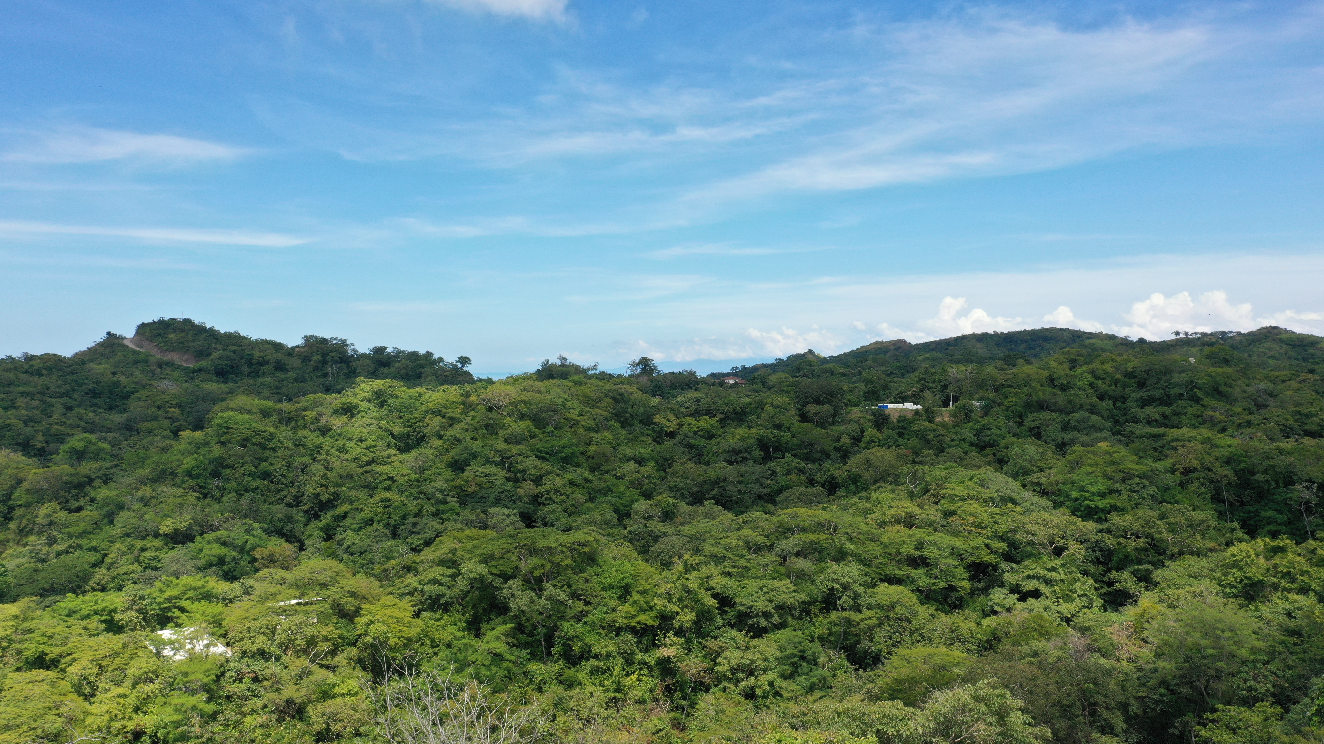 0 bed Land For Sale in Matapalo, Guanacaste - thumb 6