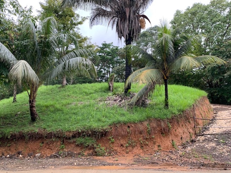 0 bed Land For Sale in Uvita, Puntarenas - 1