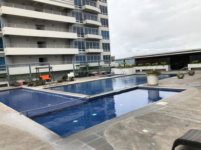 1 bed Single Family Homes For Rent in San Jose, San Jose - thumb 14