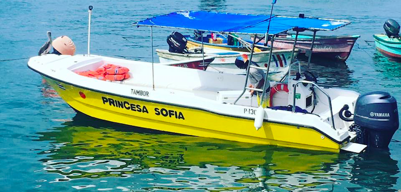 0 bed Commercial For Sale in Tambor, Puntarenas - thumb 6