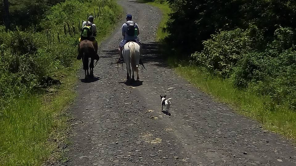 0 bed Commercial For Sale in Tambor, Puntarenas - thumb 17