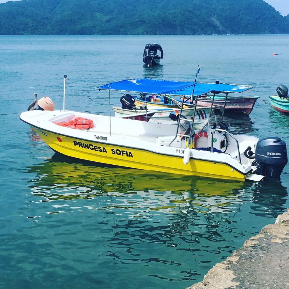 0 bed Commercial For Sale in Tambor, Puntarenas - thumb 1