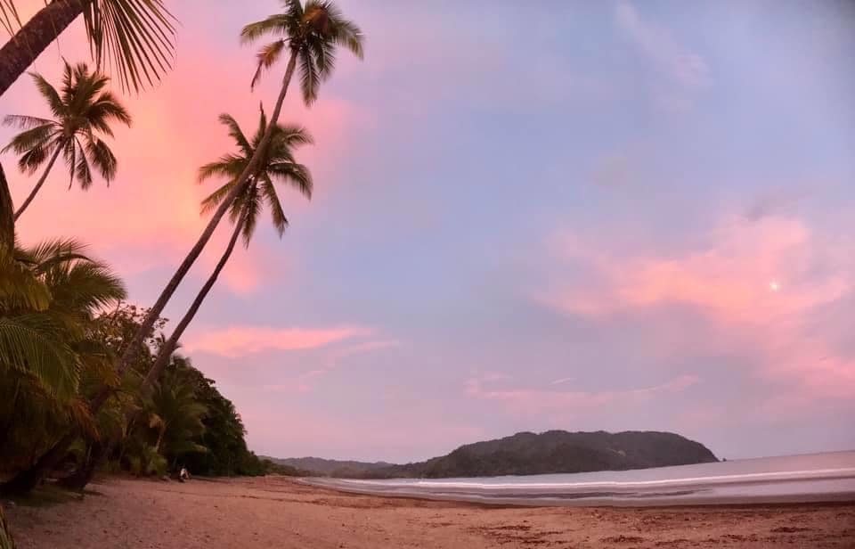 0 bed Commercial For Sale in Tambor, Puntarenas - thumb 18