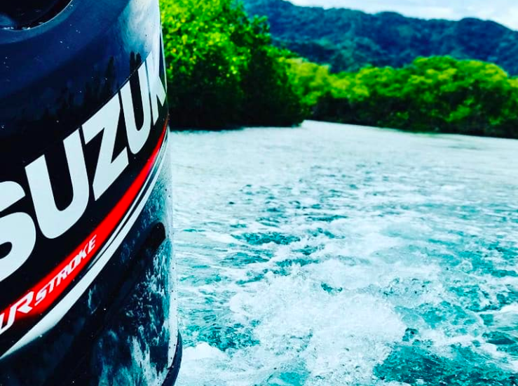 0 bed Commercial For Sale in Tambor, Puntarenas - thumb 8