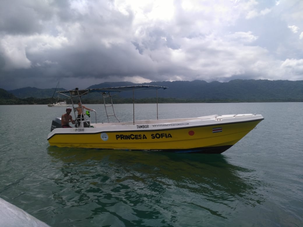 0 bed Commercial For Sale in Tambor, Puntarenas - thumb 4