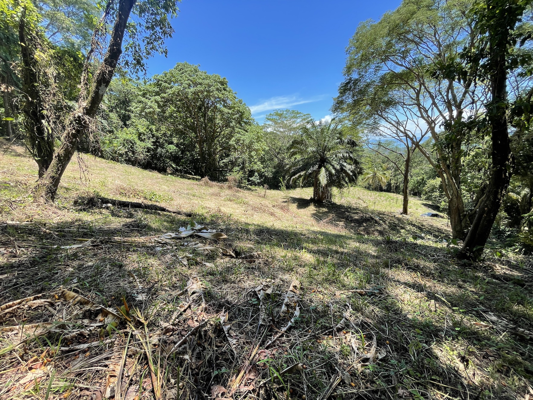 0 bed Land For Sale in Savegre, Puntarenas - thumb 11