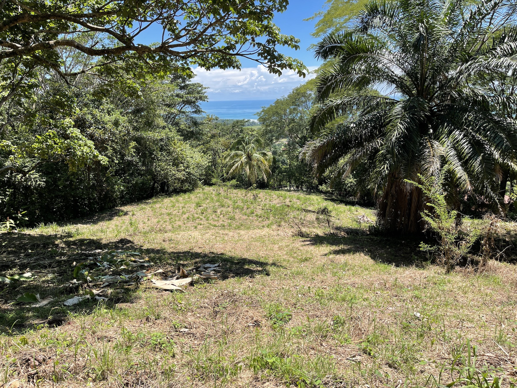 0 bed Land For Sale in Savegre, Puntarenas - thumb 7