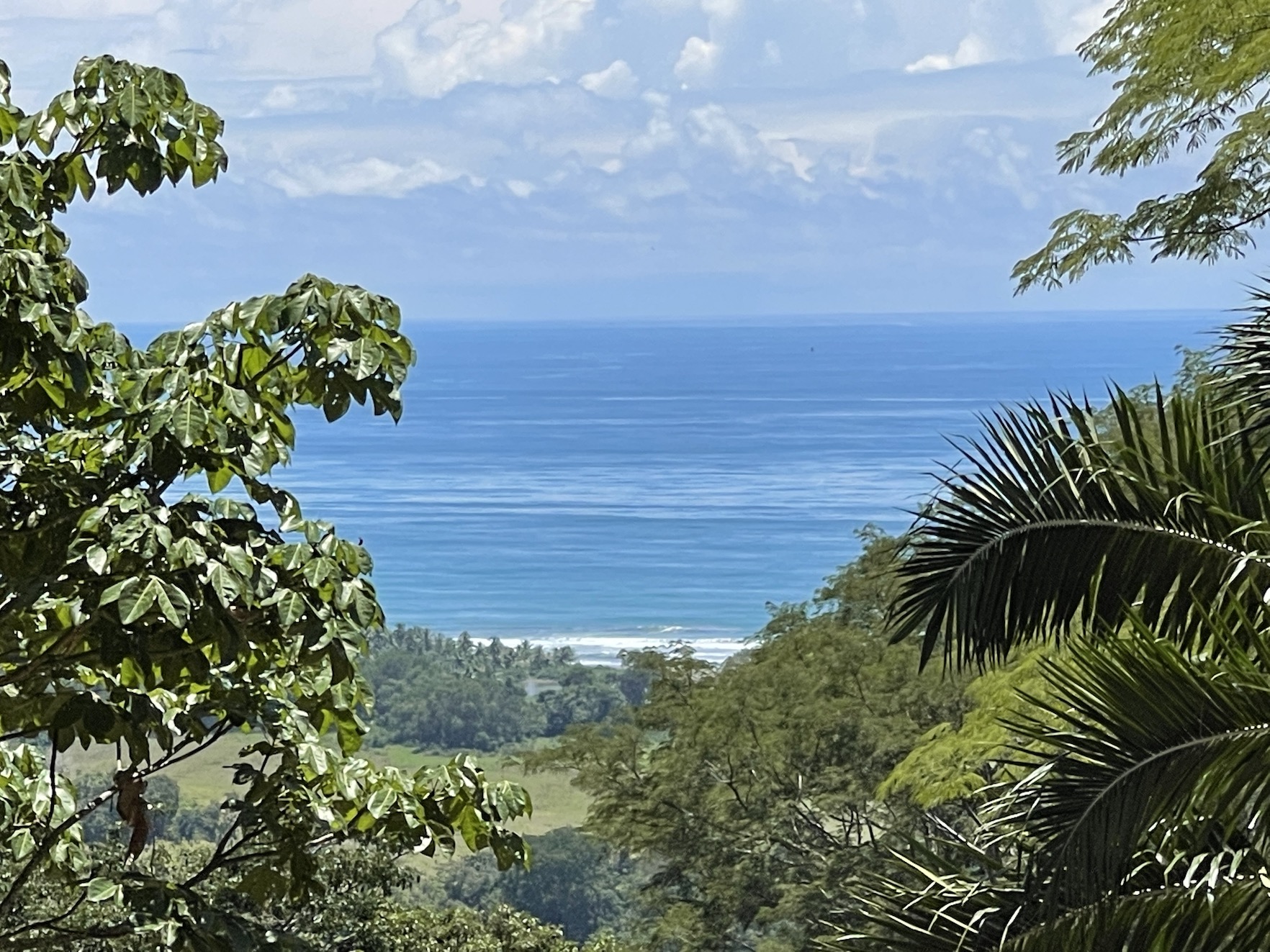0 bed Land For Sale in Savegre, Puntarenas - thumb 1