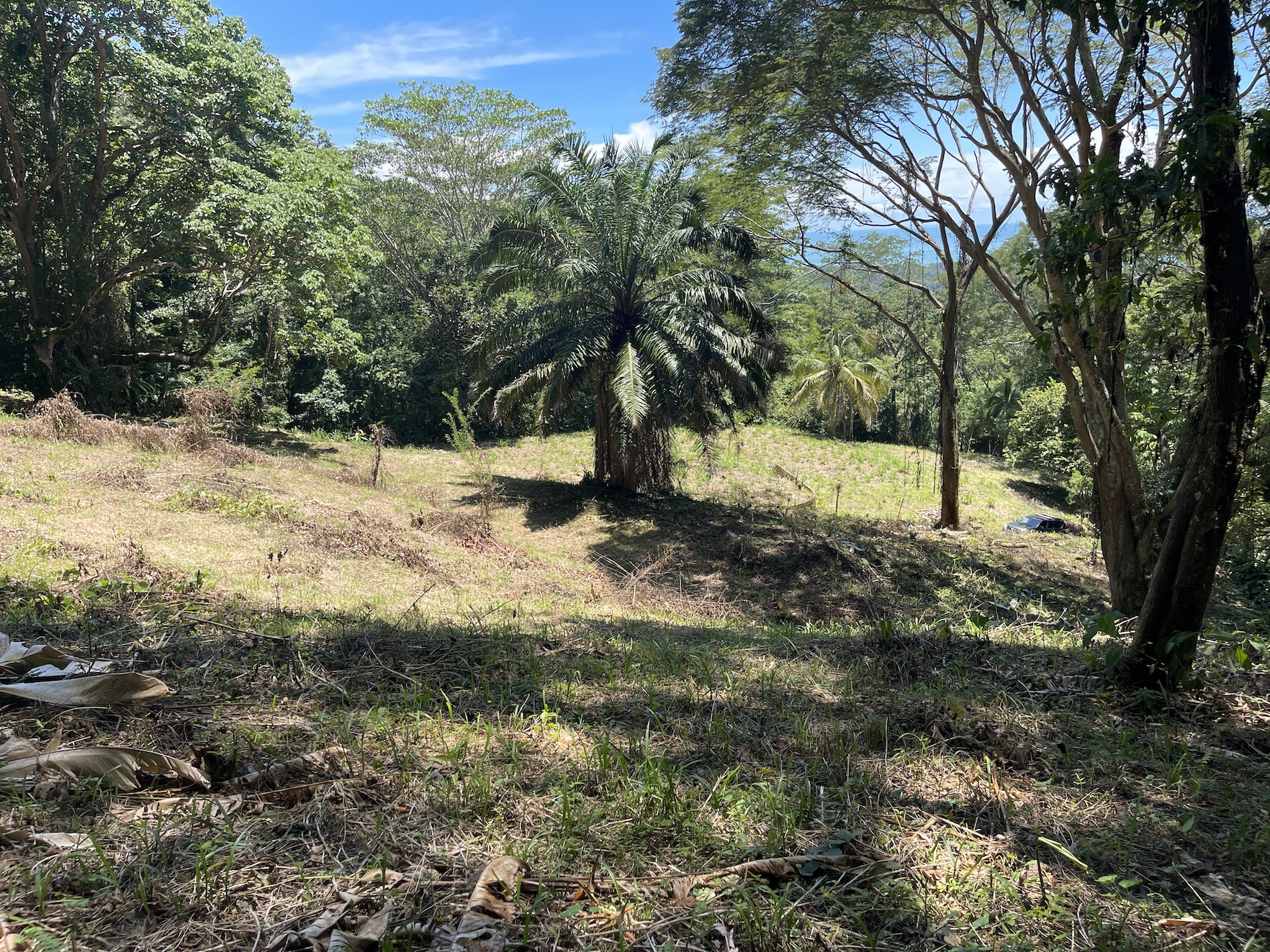 0 bed Land For Sale in Savegre, Puntarenas - thumb 10