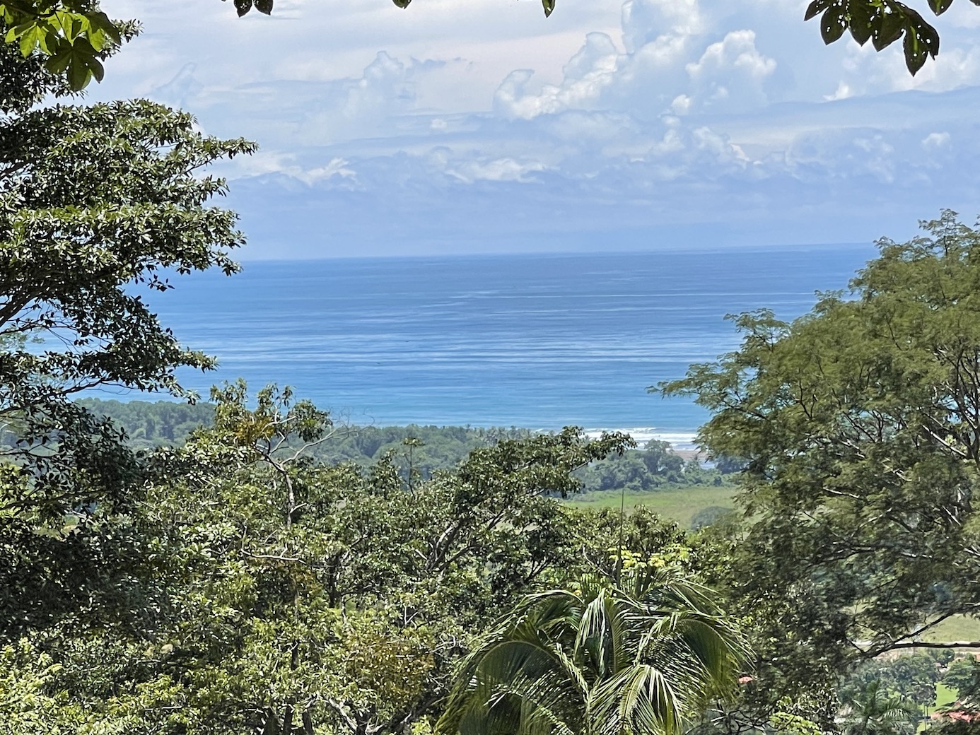 0 bed Land For Sale in Savegre, Puntarenas - thumb 4